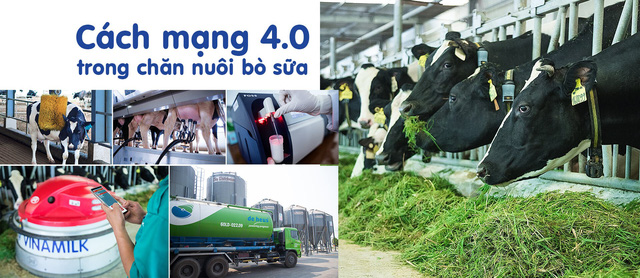 Đầu tư phát triển cả quy mô lẫn công nghệ, hệ thống trang trại của Vinamilk tăng trưởng ấn tượng - Ảnh 3. Đầu tư phát triển cả quy mô lẫn công nghệ, hệ thống trang trại của Vinamilk tăng trưởng ấn tượng - Ảnh 3.